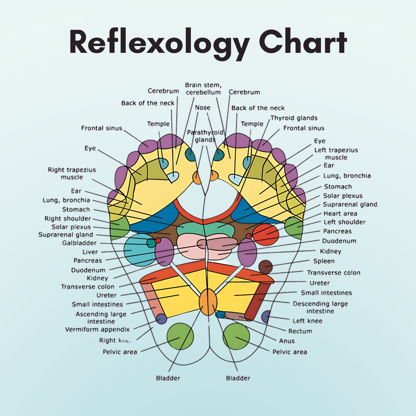 FeetyFirst™ ReflexTherapy Socks